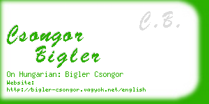 csongor bigler business card